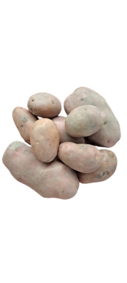 Potato Red
