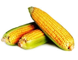 Desi Corn(Bhutta)