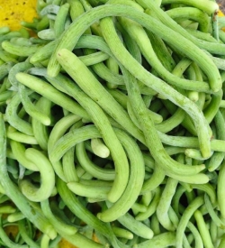 Kakdi