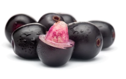 Blackberry