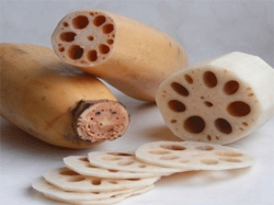 Lotus Stem