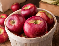 Regular Apple