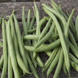 French Beans