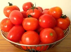 Desi Tomato