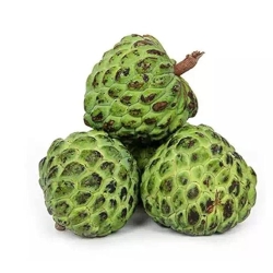 Custard Apple