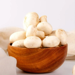 Button Mushroom