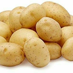 Offer Potato Kit