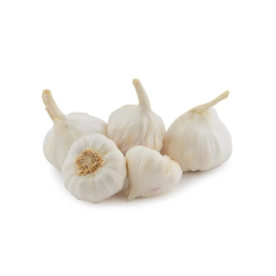 Cabbage