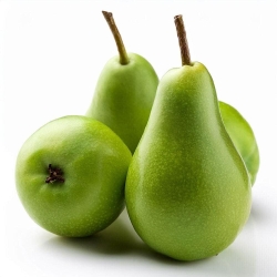 Normal Apple