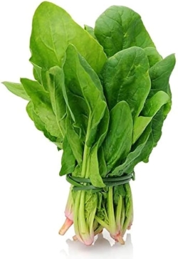 Desi Tomato