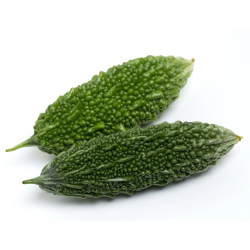 Bitter Gourd