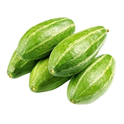 Offer Potato Kit